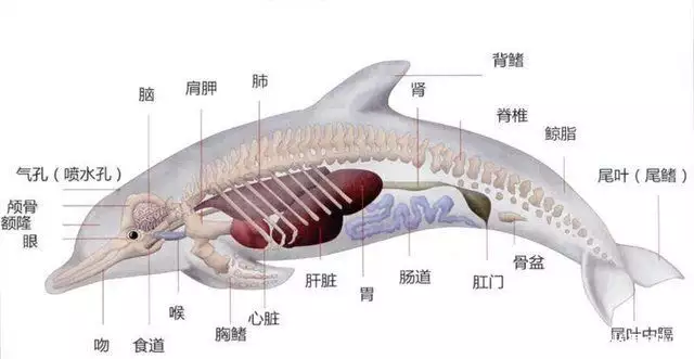 世界上最变态的人（世界上谁最变态?） 第12张