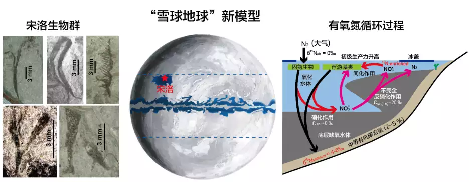 地大研究团队提出6.3亿年前“雪球地球”新模型轮椅总裁：身高不足1米，身价3亿，娶1米7美女秘书为妻，生下一子