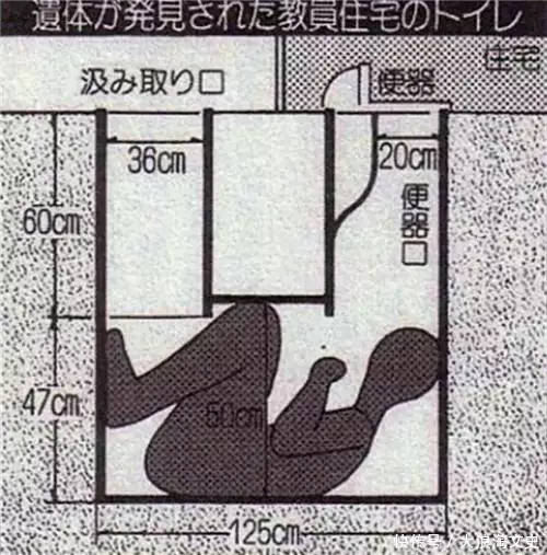 世界上最诡异的50张图（世界上最诡异的10张图片） 第1张