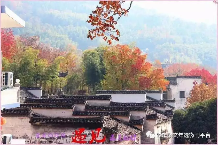 速看(邹积英和邹积岩)邹积岩校长怎么样2023已更新 第3张