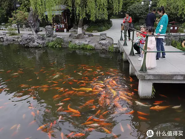 说走就走的一家三口杭州苏州六日游记（上：杭州篇）