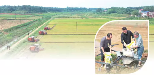 驻村故事（逐梦）穿浴巾、内衣外露，聂小雨拜师小杨哥，为博流量已经不择手段？