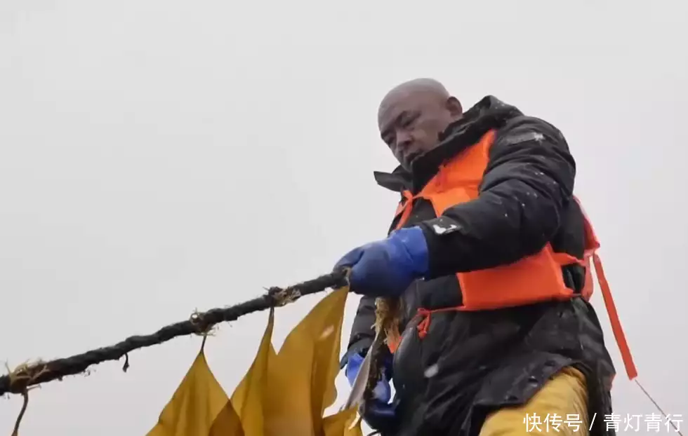 2017年,男子将角蕨石头扔进大海,如今每年坐享上千万“吃播四巨头”现状:2年没俩,尼德直播难忍、胖猴仔为活命减肥(图18) 2017年,男子将角蕨石头扔进大海,如今每年坐享上千万“吃播四巨头”现状:2年没俩,尼德直播难忍、胖猴仔为活命减肥(图18)
