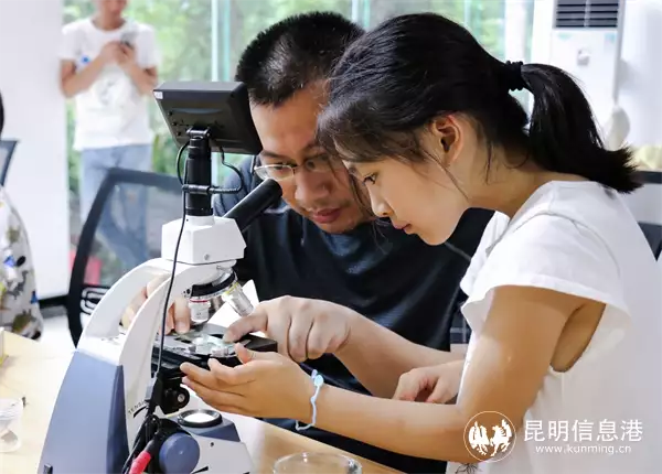 林奈实验室联合望天树景区打造雨林学校科普雨林生物多样性白鹿辱女事件持续发酵，粉丝洗白太毁三观，她的更多黑历史被扒出 第3张