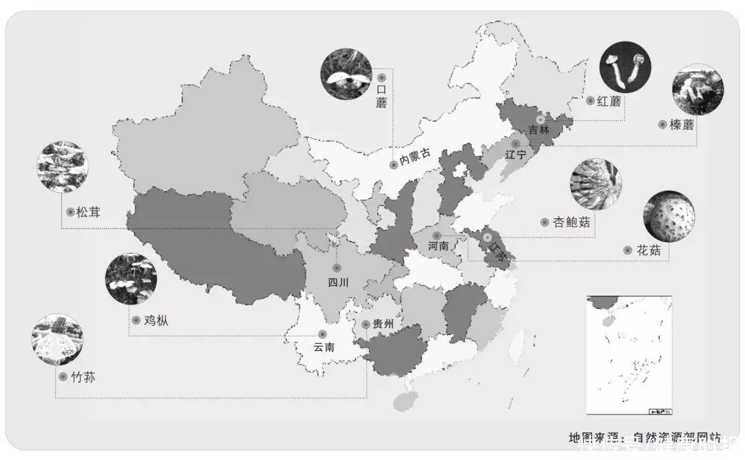 海龙的吃法（女人吃海龙的功效与作用） 第1张