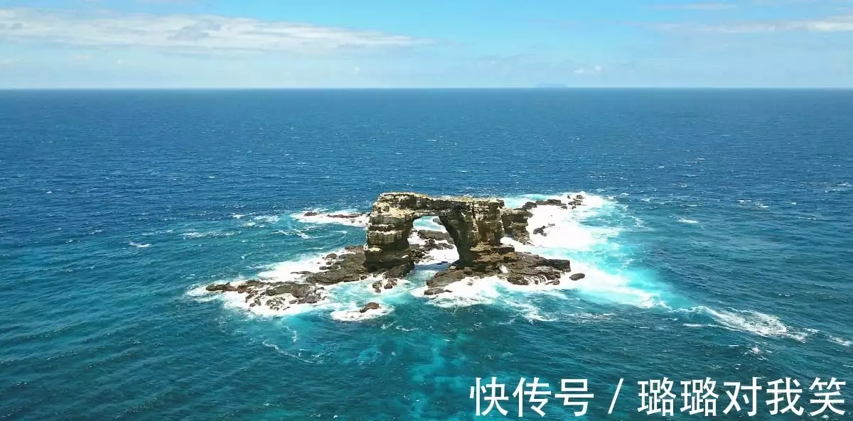 考察队发现灭绝115年巨龟，已经灭绝的生物，还能再现世间吗？