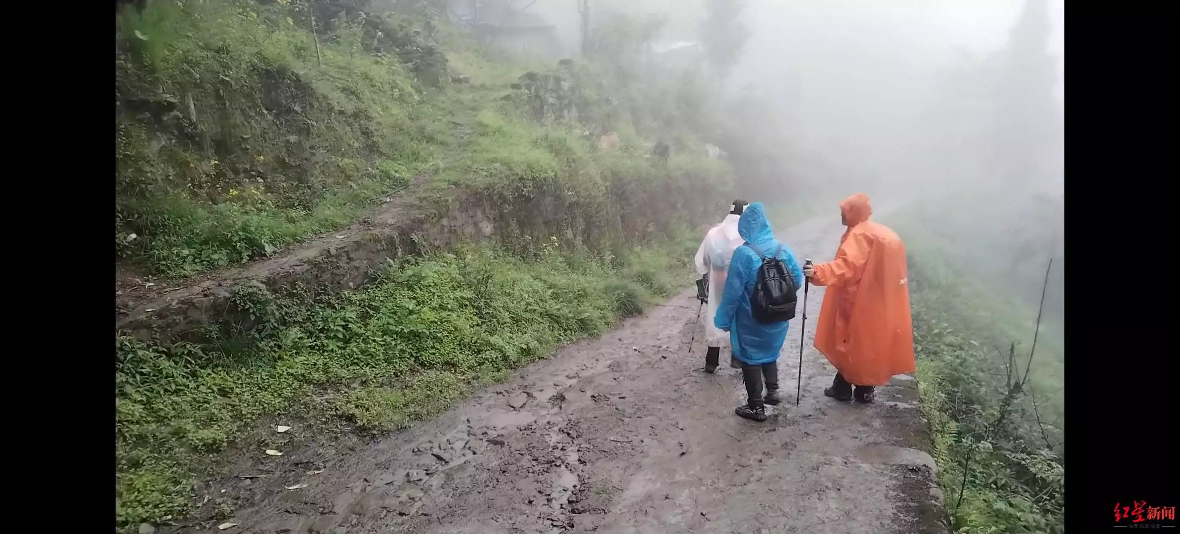 什邡天鹅林场密林中3人死亡 警方：3人由外地到达什邡，在林场深处服毒自杀