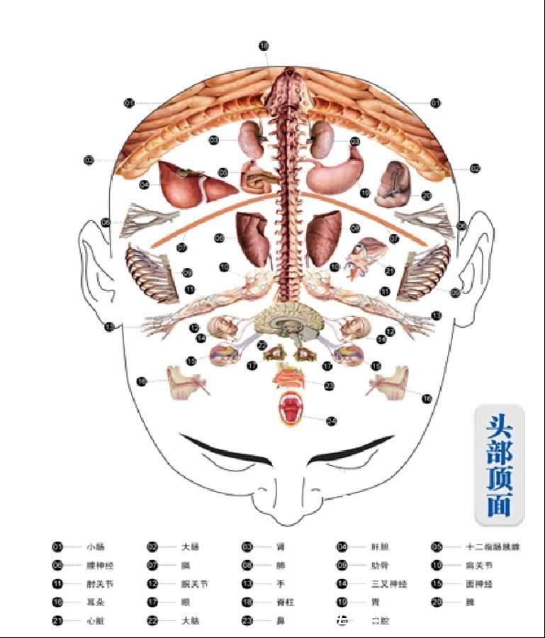 为什么要做头疗？_【快资讯】