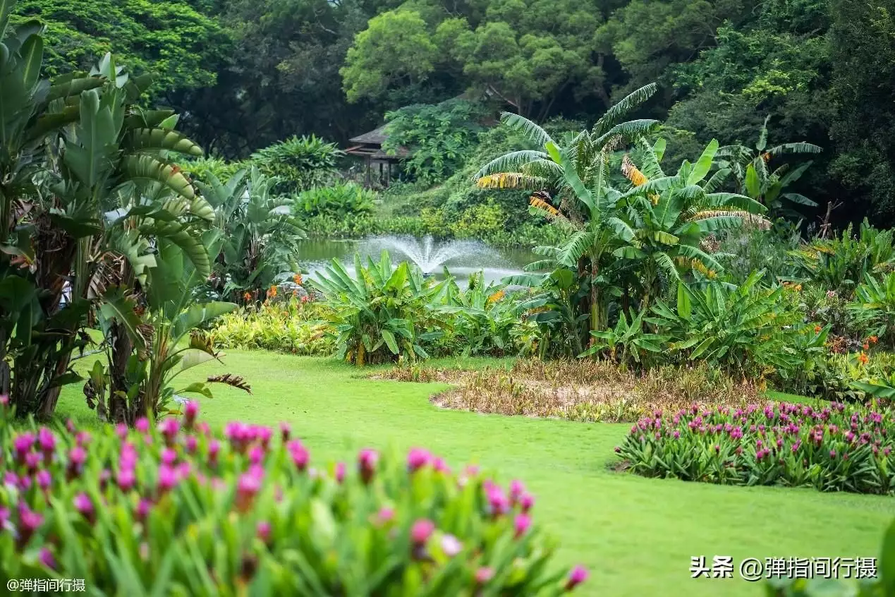 厦门“文艺之旅”，这些浪漫景点值得一看，攻略请收好！初中物理电学题的第一个拦路虎！解决了它，等于成功了一大半-第13张图片-旅游攻略网