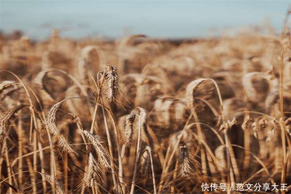 “城市咖啡电竞音乐嘉年华”燃爆昆明老街AG尊龙凯时- 尊龙凯时官方网站- APP下载