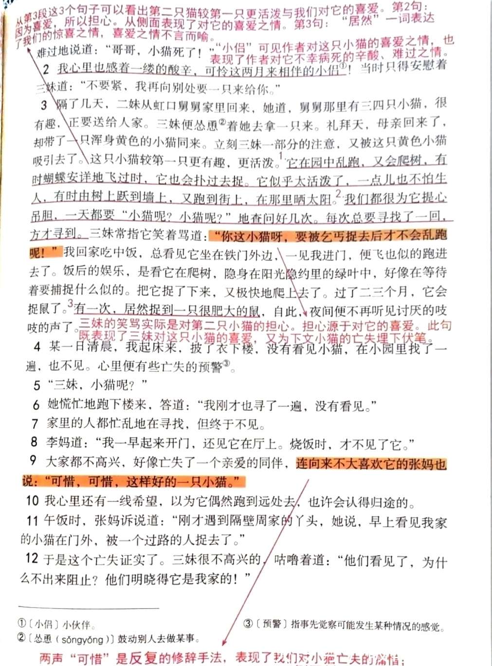 七年级语文上册十七课《猫》课文笔记，预习和复习的好帮手_【快资讯】
