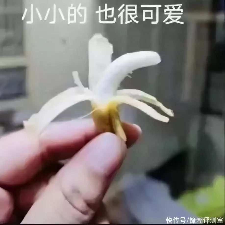 一些曾经的手机系列，可能不会再有了刘德华落魄时，只有她肯借4000万，今老无所依，华仔给她养老送终（手机）曾经的手机品牌有哪些名字，以前的手机有哪些品牌，