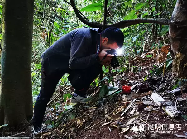 林奈实验室联合望天树景区打造雨林学校科普雨林生物多样性白鹿辱女事件持续发酵，粉丝洗白太毁三观，她的更多黑历史被扒出 第5张