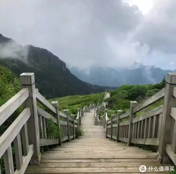 神农架野人真实照片（神农架野人图片大全） 第12张