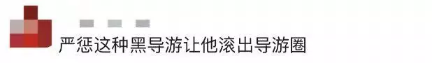 导游辱骂游客“一分钱没花，老臭流氓”，网友怒了！官方回应