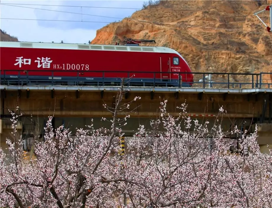 天下风物——《列车穿过花海驶向春天深处看看春天的铁道线到底有多美》风光题照