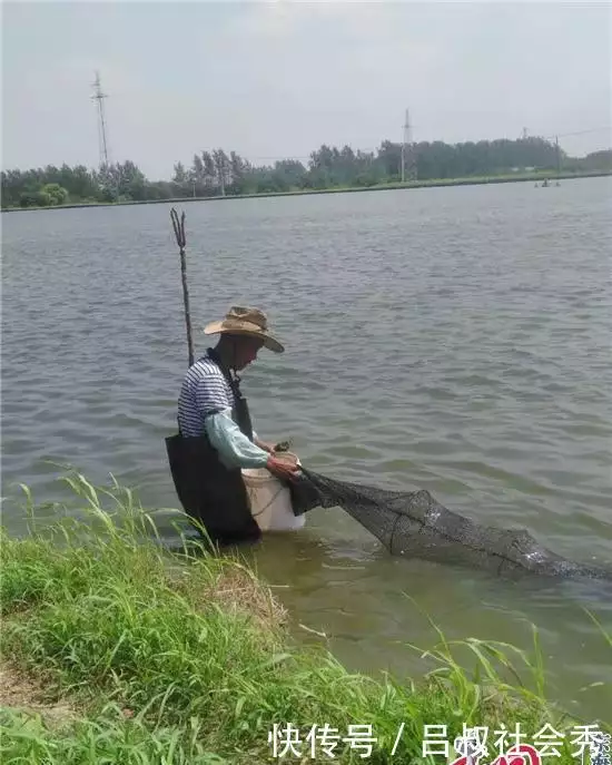 致富经甲鱼_致富经甲鱼养殖技术视频_甲鱼致富经