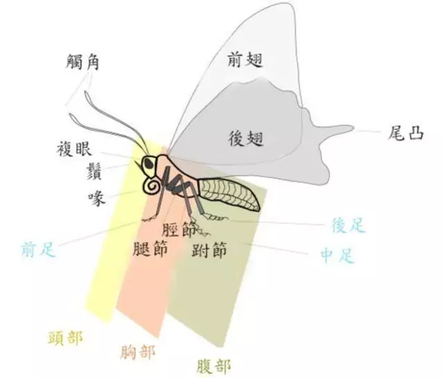 世界上最变态的人（世界上谁最变态?） 第10张