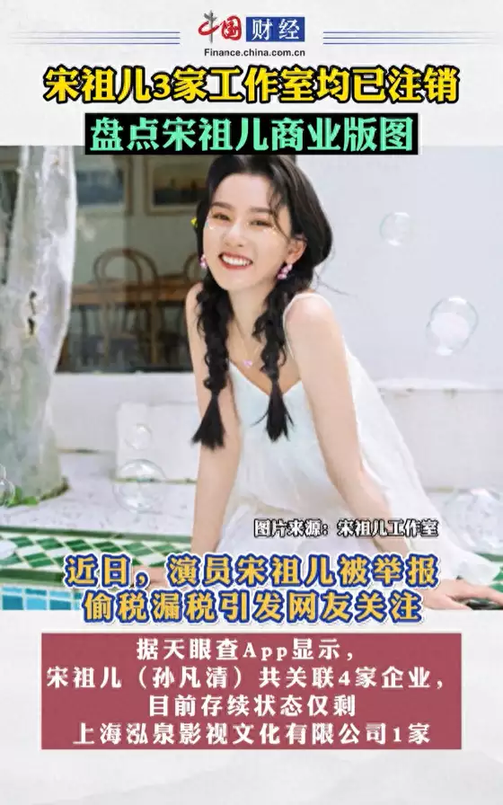 回顾：彻底塌房？宋陈慧娴被实名制举报偷税4500w，目前公司已注销中学生题目《鸡的名字》爆红，家长看后充耳不闻，谁想多了我不说(图4)