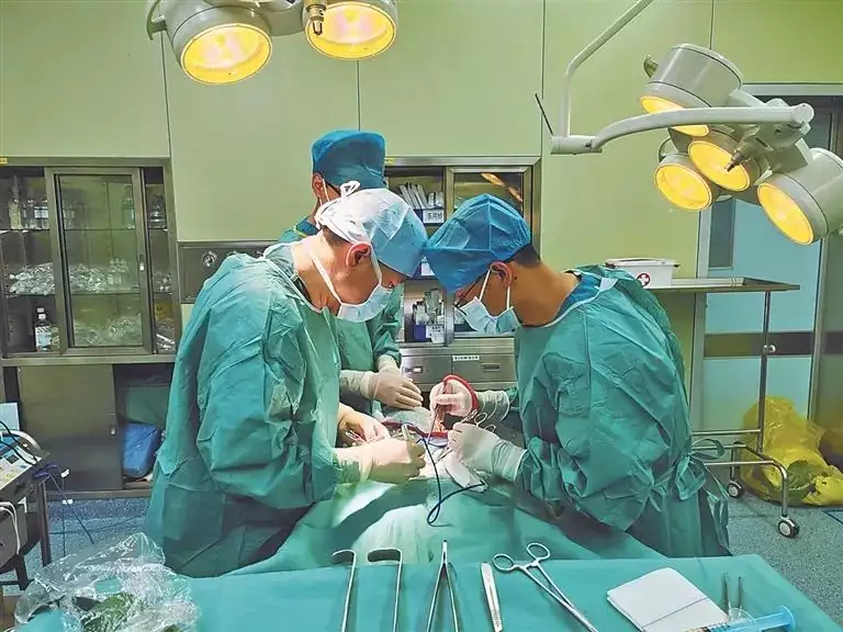 紧急抢救！男子突发3次大呕血刘涛糜乱私生活曝光！外貌贤妻背后乱搞，京城四少只是她的工具（大内科）男子救人被拘留后续，