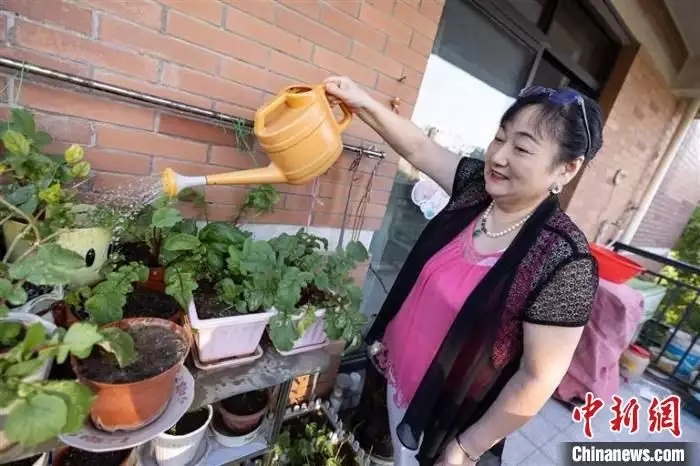 开心花甲（开心花甲粉做法） 第2张