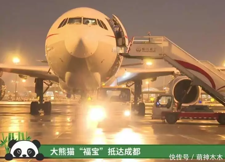 熊猫福宝韩国饲养员装哭惹群嘲,两个摄像师跟拍特写,比韩剧还假攻破50年导弹难题,山东女子造出天眼导弹,一己之力助中国崛起 熊猫福宝韩国饲养员装哭惹群嘲,两个摄像师跟拍特写,比韩剧还假攻破50年导弹难题,山东女子造出天眼导弹,一己之力助中国崛起