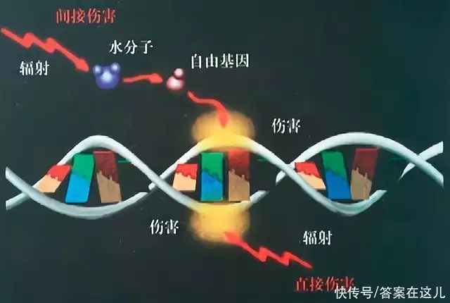 太空回来的真是本人吗（太空回来需要多久适应） 第8张