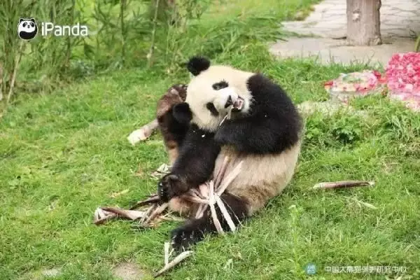 诡异图片看懂了超吓人（诡异图片素材） 第16张