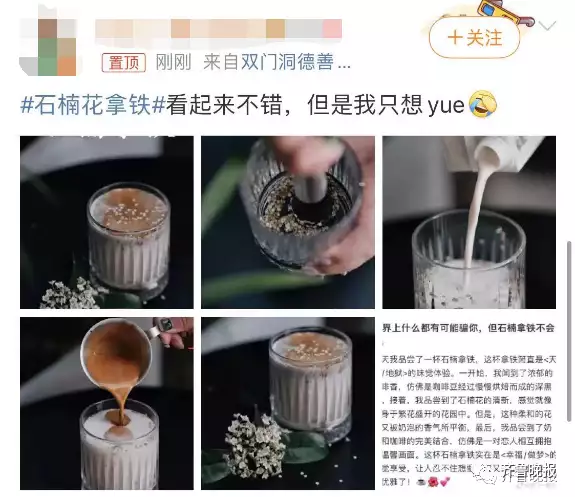 石楠花的味道怎么形容（石楠花的气味） 第21张