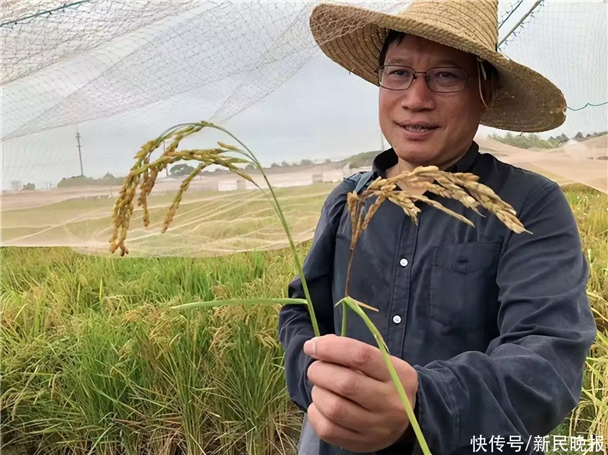 革故鼎新的意思（精益求精的意思） 第1张