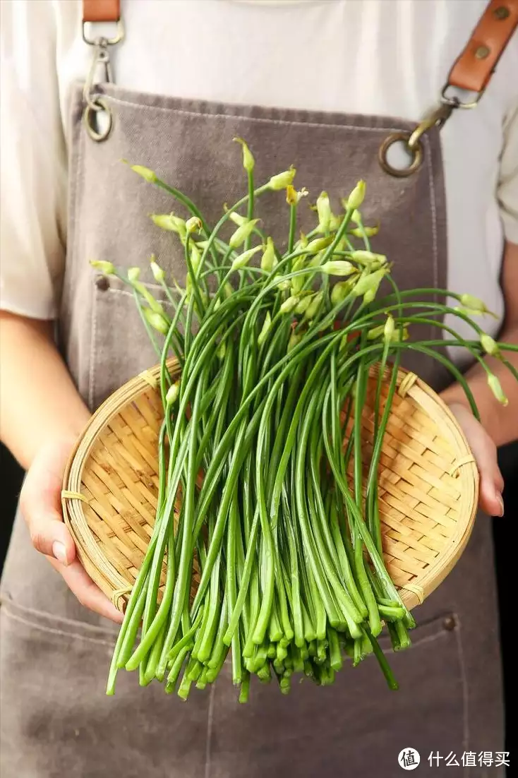 补肾菜（补肾菜肴） 第1张