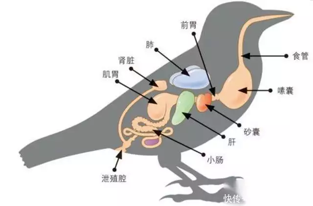 古诗名句励志（古诗词名句励志四字成语） 第10张