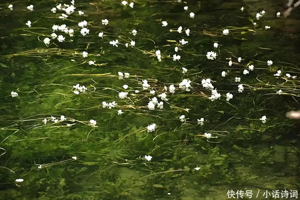 居然可以这样（苏轼江城子密州出猎）苏轼的江城子,密州出猎 第20张