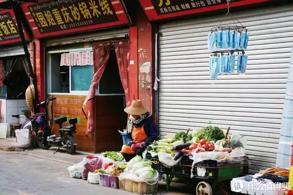 越早知道越好（桃花源记翻译最简短的）桃花源记翻译最简短的100字 第18张