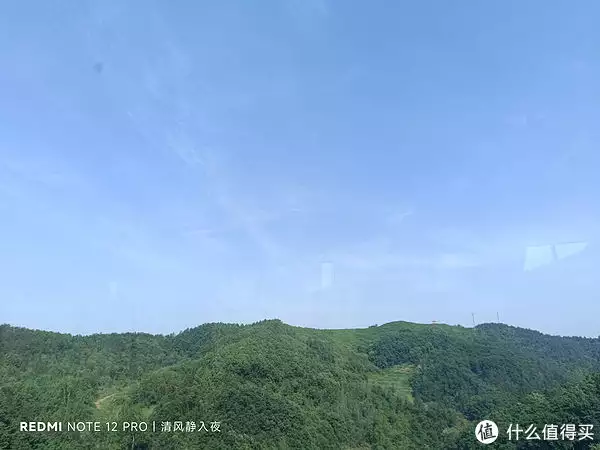 石楠花（石楠花为什么要种在学校） 第6张