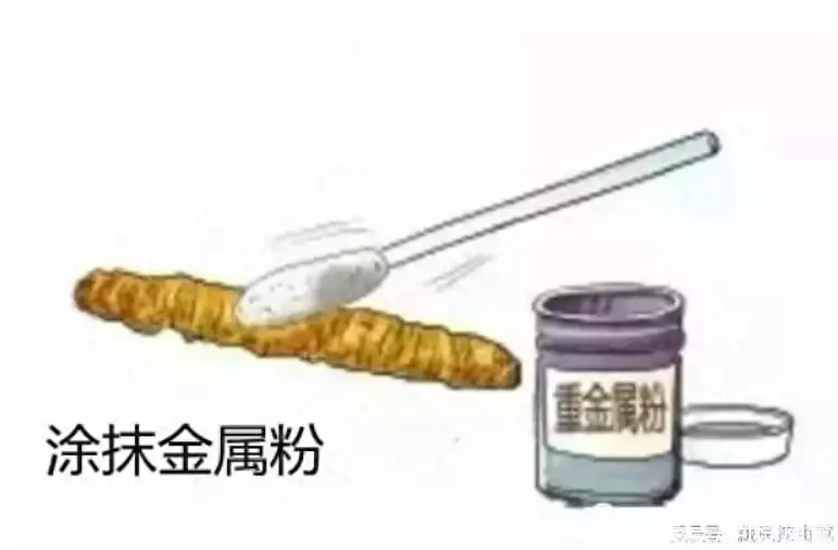 乏力草（乏力草根的功效与作用） 第20张