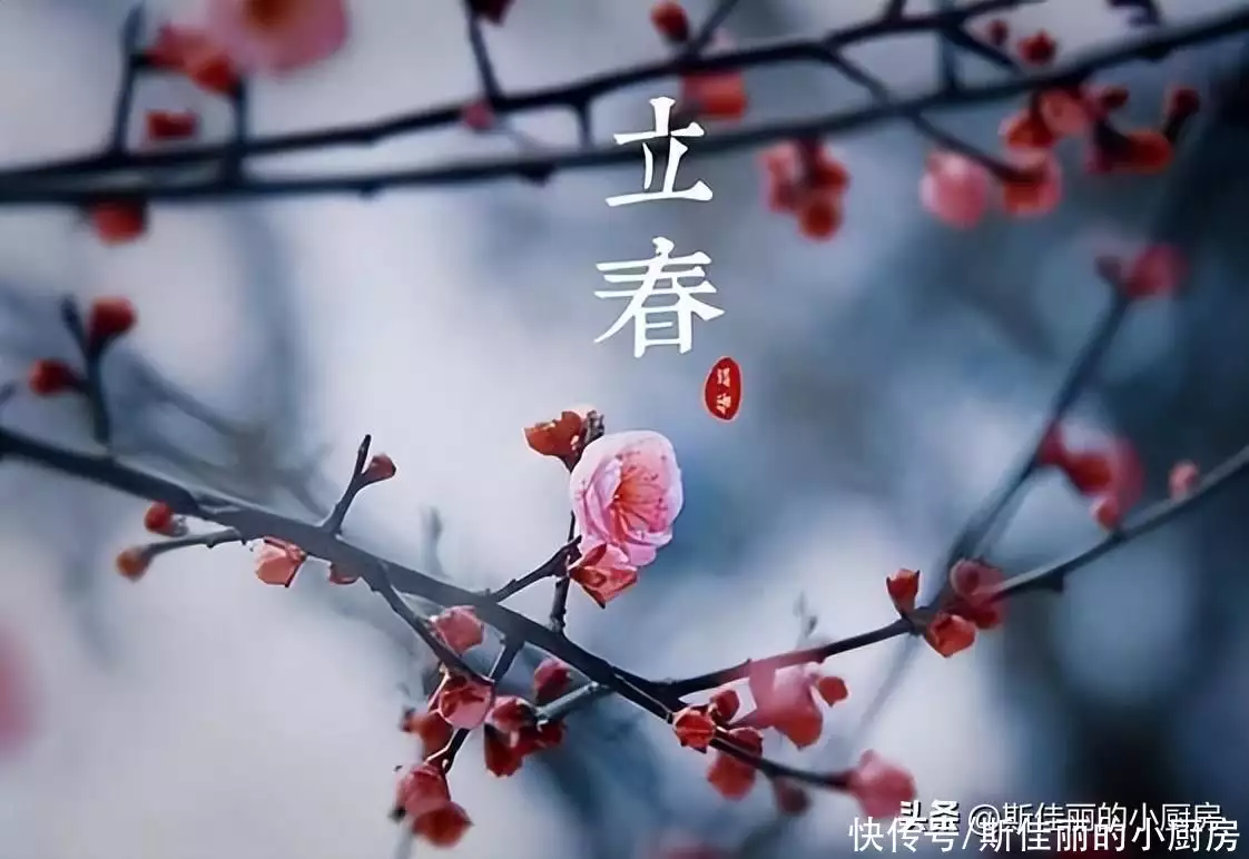 立春吃什么蔬菜（立春要吃那种蔬菜） 第1张