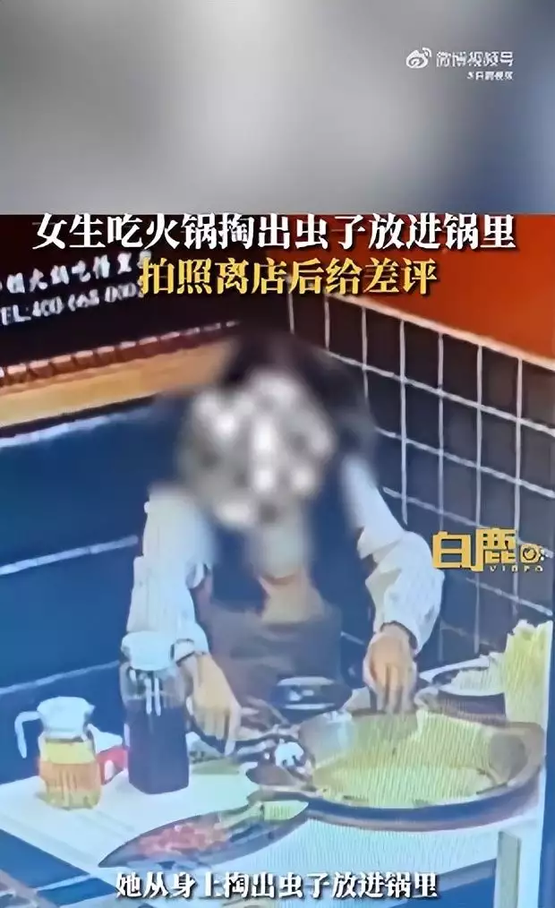 云南气锅（云南汽锅鸡的正宗做法视频） 第3张