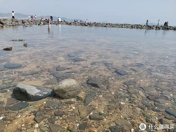 一篇读懂(刀郎和云朵唱的什么歌啊)刀郎和云朵的歌曲2023已更新 第5张
