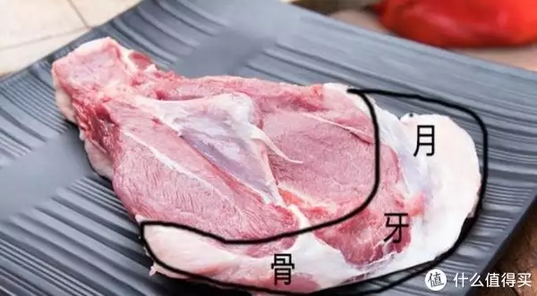 月牙骨（猪肉月牙骨是哪里的肉做的） 第1张