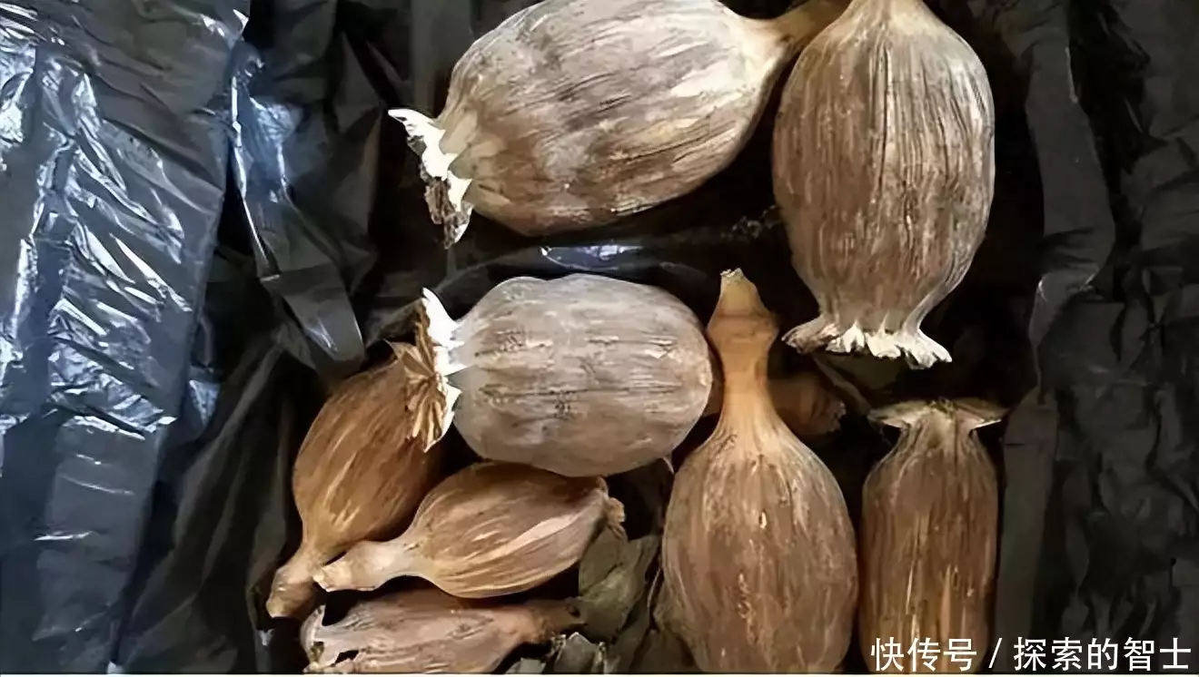 小碗牛肉（小碗牛肉汤） 第5张