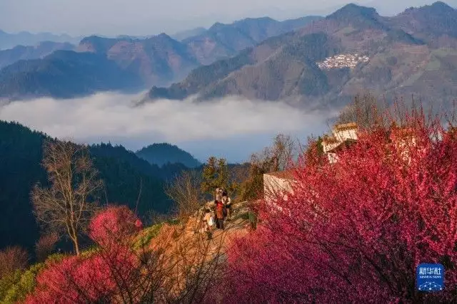 锦屏春暖（锦屏春暖欣欣向荣这本多少万字） 第14张