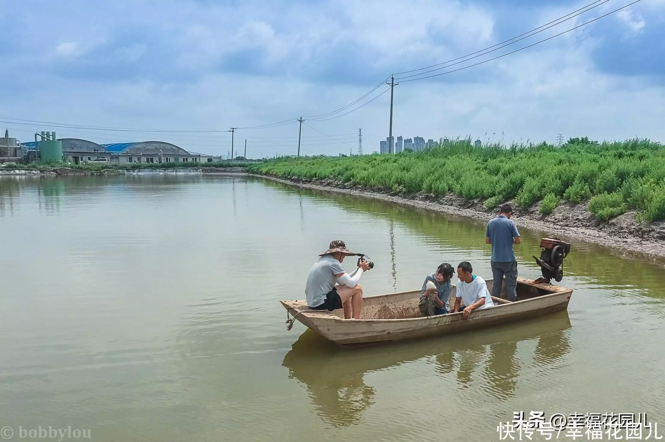 河豚鱼的做法（河豚鱼的做法大全煲汤） 第7张