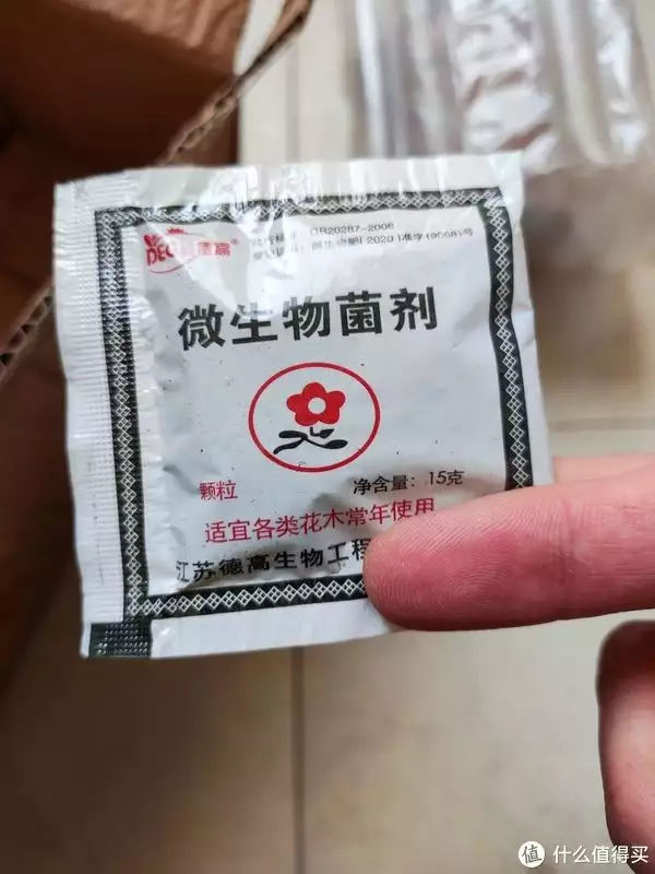 听说胡椒木能够防蚊子？看看我买的胡椒木的买家秀和卖家秀，被坑了吗？26张晚清老照片，名妓果然是名妓，就算是放在今天那也是妥妥美女插图8