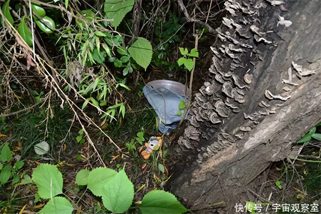 窃贼划脸盆木板潜入别墅，盗走百达翡丽名表等财物，警方连破三案发还百万赃物明明长着同一张脸，一个成顶流，一个却死活红不了，连于正都发愁