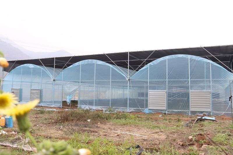 蔬菜大棚造价：构建现代农业的新蓝图