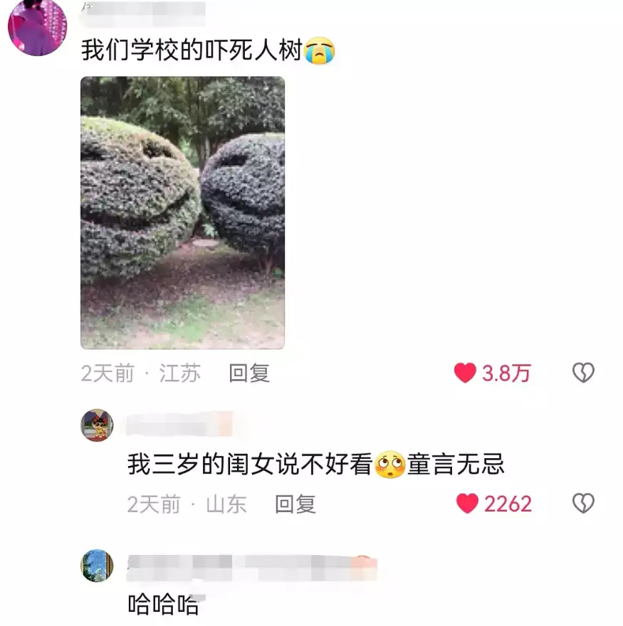 笑树（笑树的发声原理） 第6张