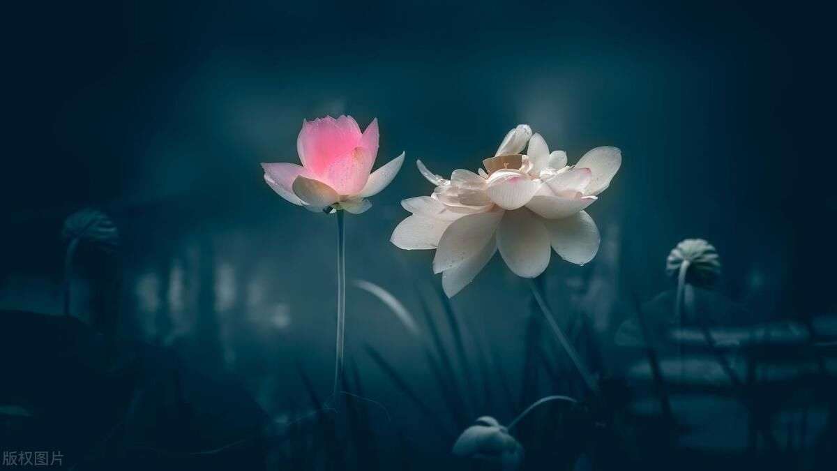 知人者智,自知者明——我们的潜意识_【快资讯】