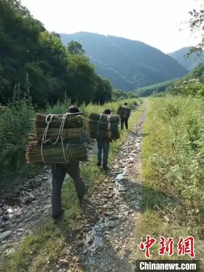 用非遗来看奥运（用非遗来看奥运会的感受和收获） 第3张