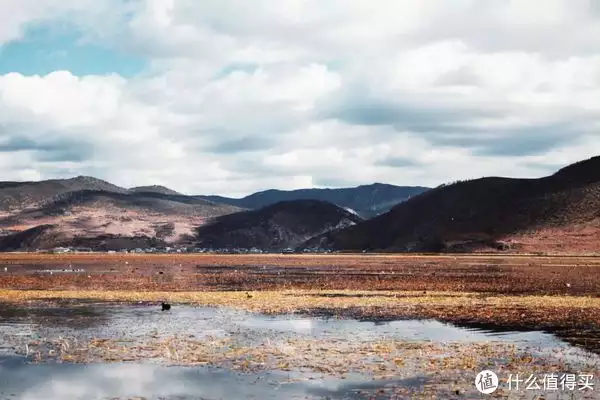 越早知道越好（桃花源记翻译最简短的）桃花源记翻译最简短的100字 第62张